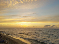 Robbie's photography