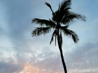 Aloha