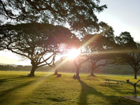 Morning sun shines