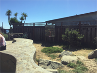 Pleasure Point, Santa Cruz, CA