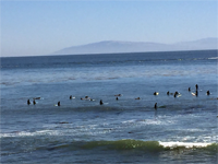 Pleasure Point, Santa Cruz, CA