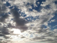 Robbie's photography