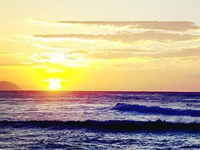 Robbie's photography