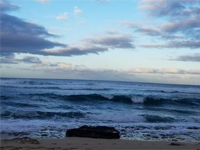 Robbie's photography