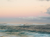 Robbie's photography