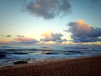 Robbie's photography