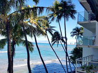 Today's view, March 29